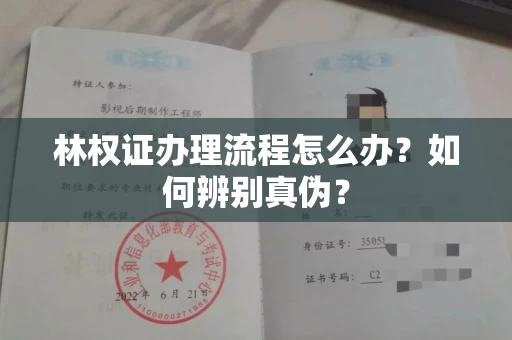 全国林权证办理流程怎么办?如何辨别真伪?