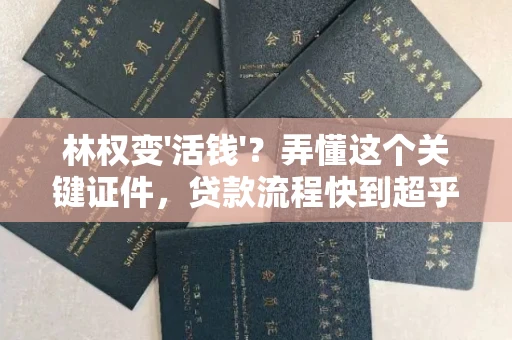 全国林权变'活钱'?弄懂这个关键证件,贷款流程快到超乎想象!