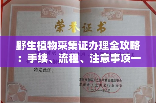 全国野生植物采集证办理全攻略:手续、流程、注意事项一网打尽